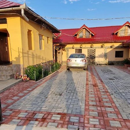 Pensiunea Casa Andreea Novaci-Străini Exterior photo