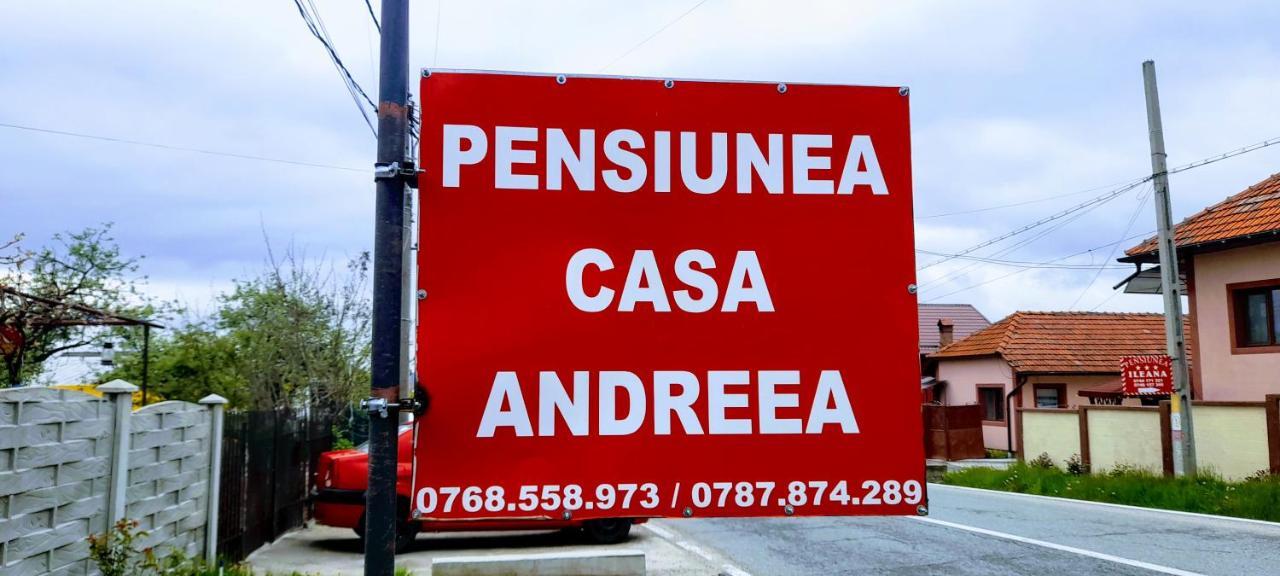 Pensiunea Casa Andreea Novaci-Străini Exterior photo