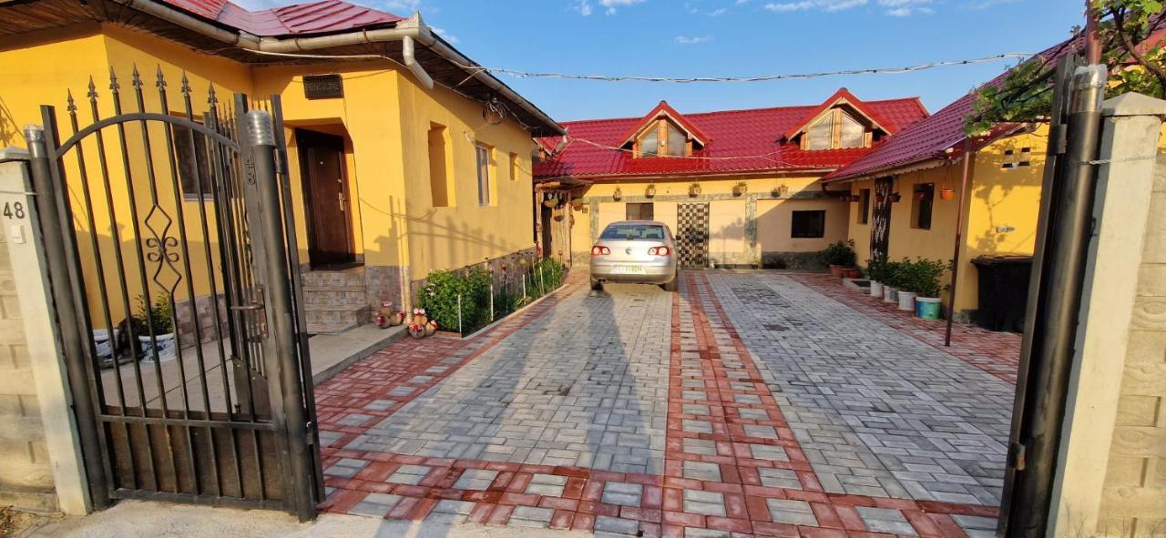 Pensiunea Casa Andreea Novaci-Străini Exterior photo
